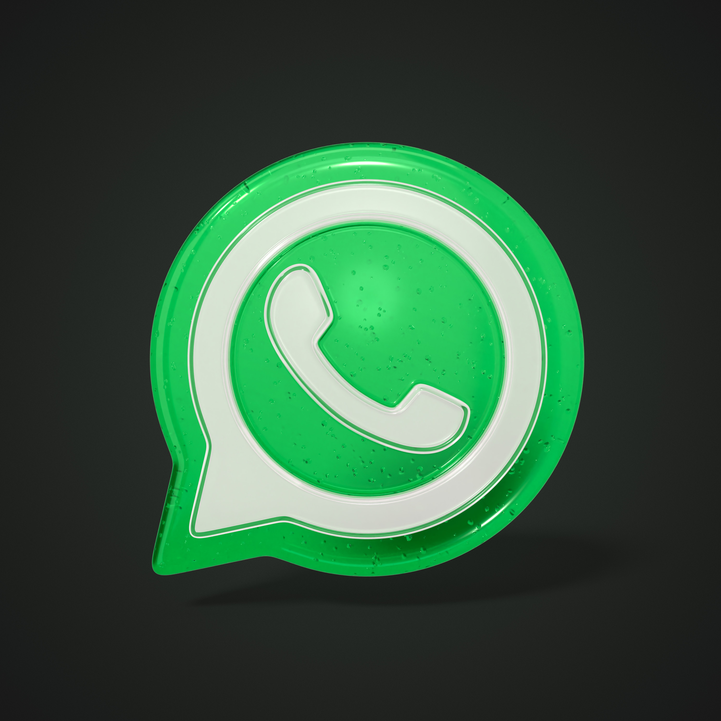WhatsApp chat icon
